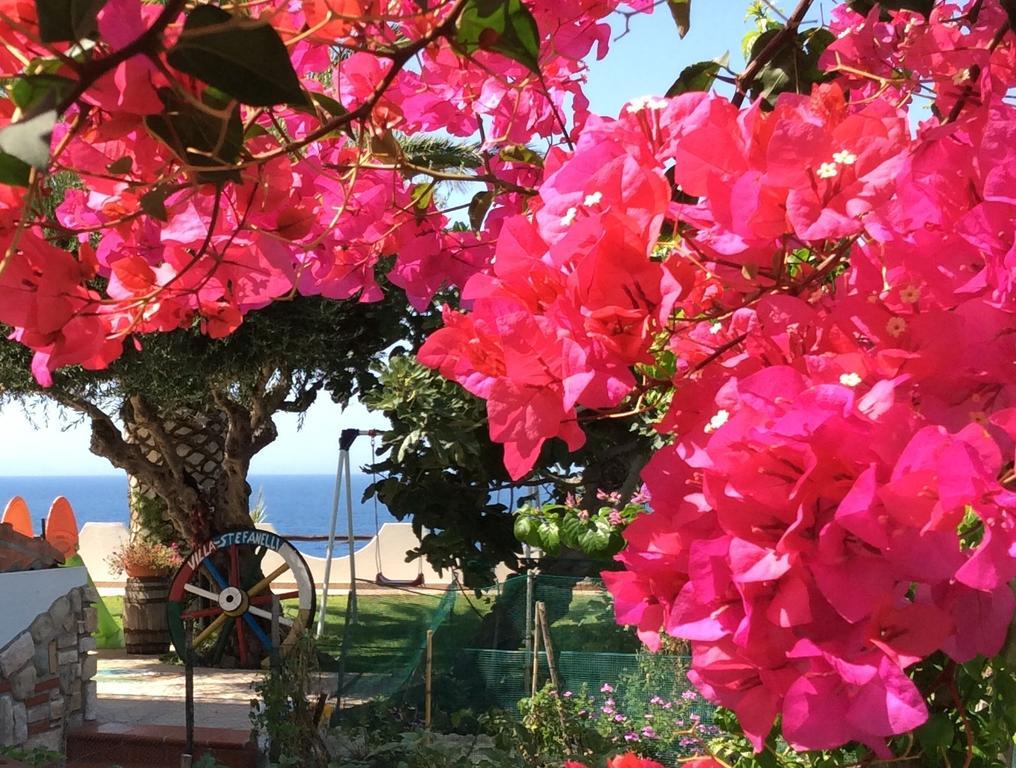 Residenza Stefanelli Leilighet Capo Vaticano Eksteriør bilde